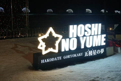 Goryōkaku — photo 9