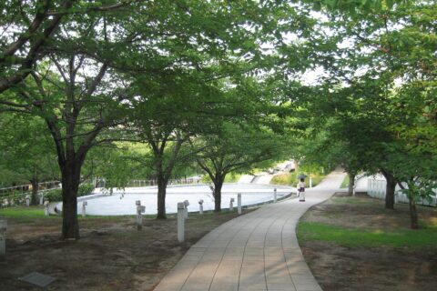 新潟県新潟市中央区。白山公園の画像。