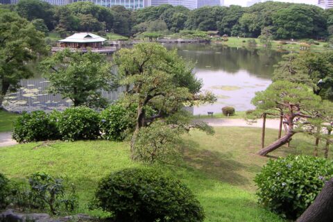 浜離宮恩賜庭園 潮入の池