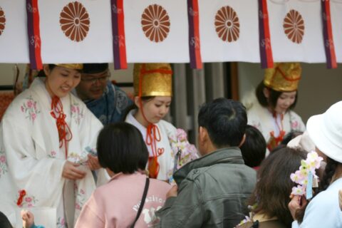 福井県敦賀市金崎宮の花換まつりの様子。福娘と桜の小枝を交換する。