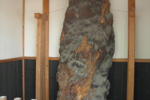 "Hatatate Matsu" (Pine leaning against the flag) in "Sakurai-eki-ato" (National historic sites of Japan) , Shimamoto, Osaka. taken in 2011.