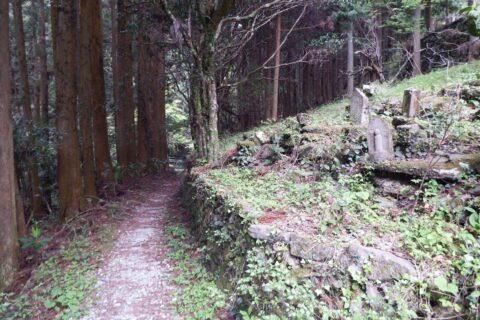 阿波遍路道 焼山寺道