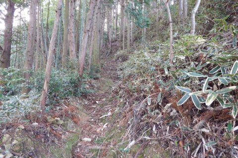 阿波遍路道 かも道