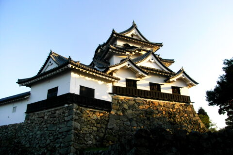 彦根城天守。彦根城は幕末に建てられたままの天守閣が残っている。このような復元や模造ではない当時のままの天守閣は日本には彦根を含め12個残っている。当時のままの天守を現存天守、特に12個を称して現存12天守という。彦根は現存12天守の中でも一番新しい。 残り11個は弘前、松本、備中松山、松山、高知、宇和島、松江、丸亀、犬山、姫路、丸岡。