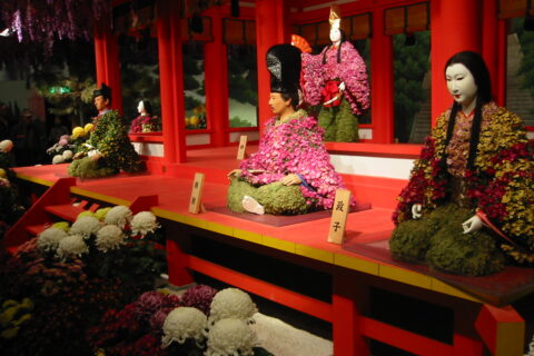 Hirakata kikuningyo