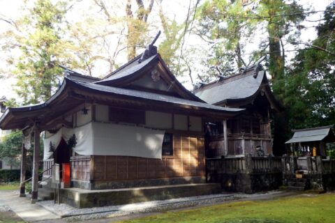 蛭子神社 拝殿本殿
