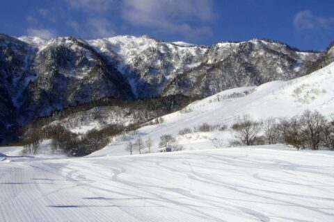 氷ノ山（氷ノ山国際スキー場）, 兵庫県養父市