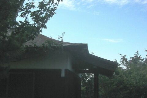 新温泉町居組龍神社龍神堂。