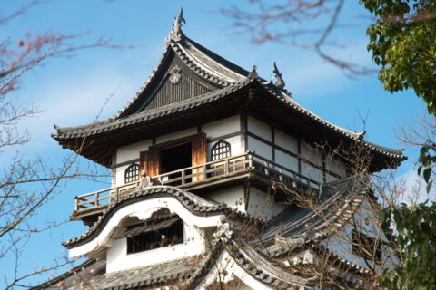 天守閣最上層を拡大。しゃちほこが見える。