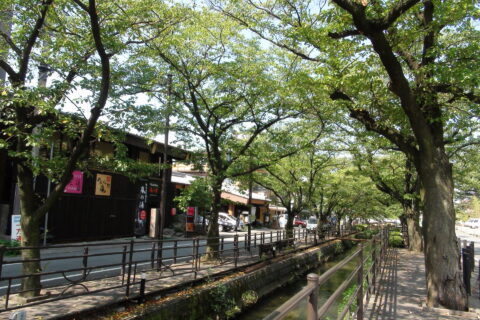 石和温泉中心部の近津用水路と旅館街（山梨県笛吹市）