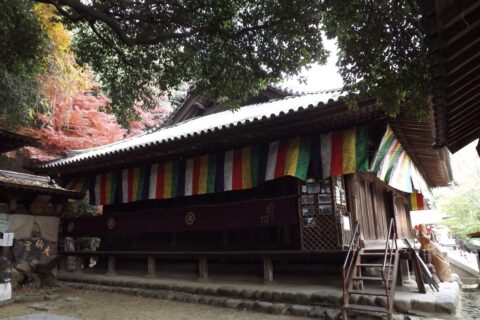 石手寺 本堂