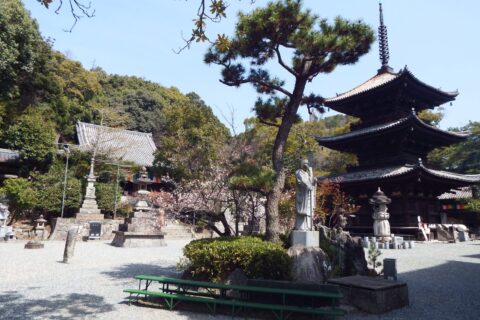 ​石手寺 境内
