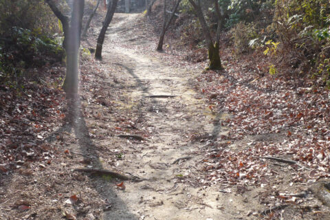 帯曲輪跡