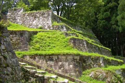 Iwamura Castle