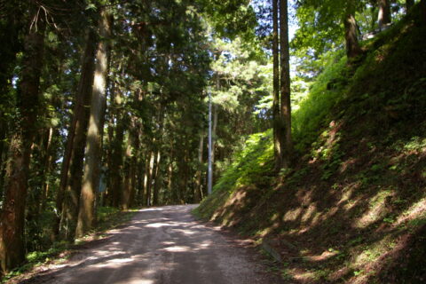 Iwamura Castle (Agi Nakatsugawa City, Gifu Pref, Japan)