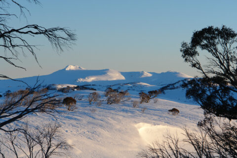 Morning sun shining on Mt Jagungal in Kosciuszko National Park, New South Wales, Australia. The picture is taken from near Mawson's Hut.