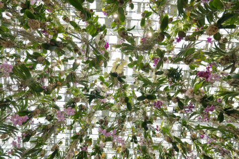 teamLab Planets TOKYO — photo 5