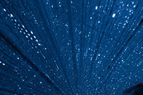 teamLab Planets TOKYO — photo 3