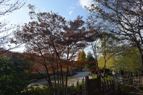 Maebashi Park — photo 3