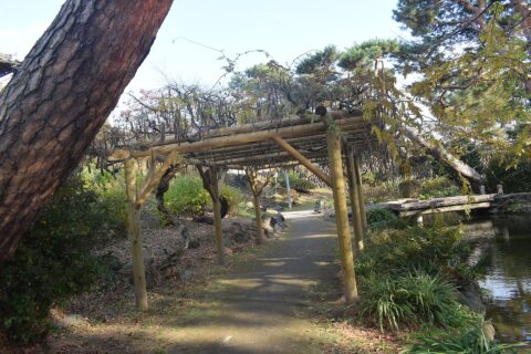 Maebashi Park — photo 4