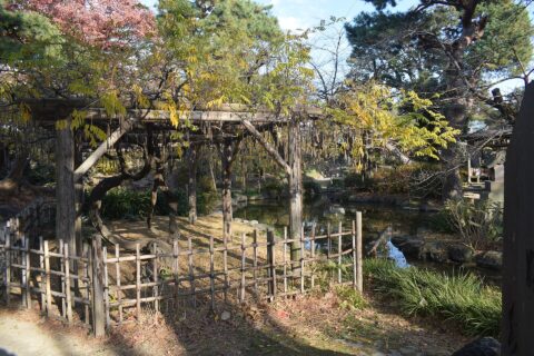 Maebashi Park — photo 5