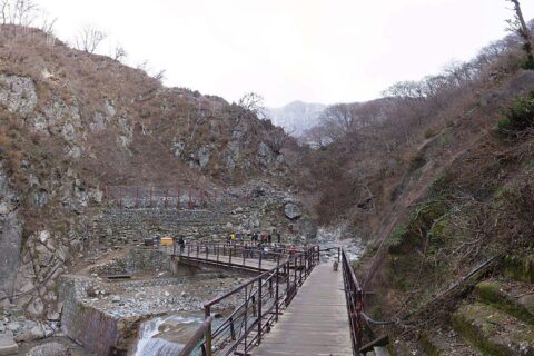 Jigokudani YaenKouen (Monky park) , 地獄谷 野猿公苑