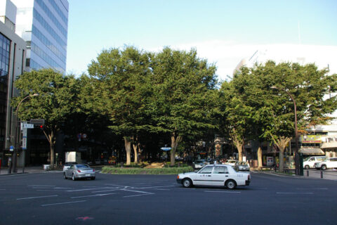 Sendai Pageant of Starlight