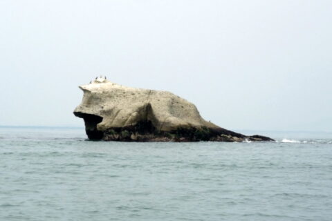 奥松島・かえる島 （宮城県東松島市）