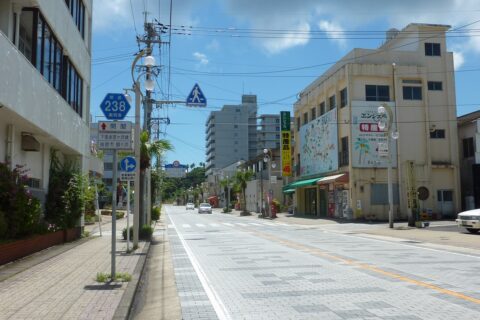 Kagoshima Prefectural Road No.238:KudariMinato-Miyagahama Line (Ibusuki City, Kagoshima, Japan)