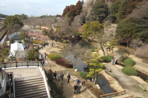 偕楽園南側の庭園。梅桜橋歩道橋から撮影。茨城県水戸市。