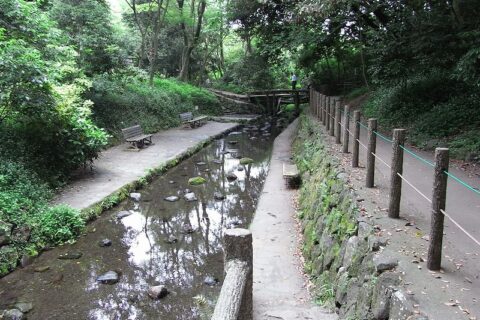 柿田川公園