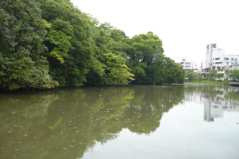 Kameyama Castle (Kyoto) — photo 4