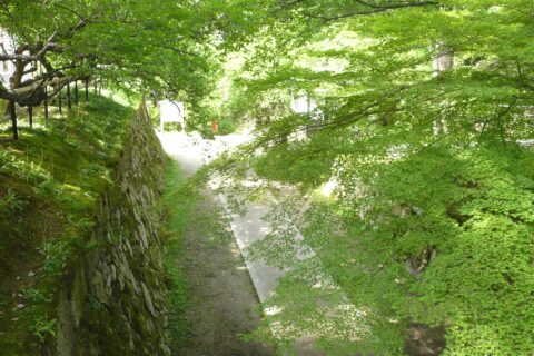 Kameyama Castle (Kyoto) — photo 5