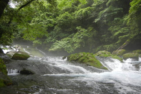 Kikuchikeikoku. 熊本県菊池市にある「菊池渓谷」, Kikuchi.