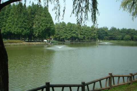 Pond in the Kitamoto General Park in Kitamoto City, Saitama Prefecture, Japan