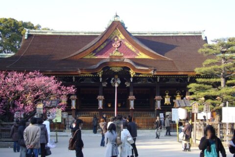京都市上京区にある北野天満宮の拝殿前に咲く紅梅。2007年2月28日に投稿者が撮影。
