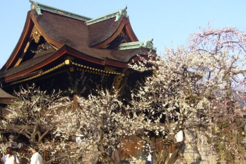 京都市上京区にある北野天満宮の中門（三光門）と白梅。2007年2月28日に投稿者が撮影。