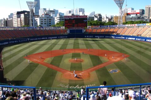 全国高等学校野球選手権大会－神奈川県予選大会