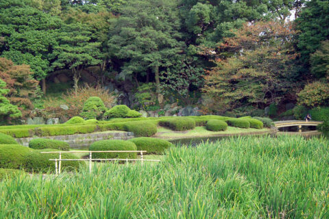 This photo shows a Japanese garden inside the Kokyo (Imperial Palace, formerly Edo Castle) in Tokyo, Japan. I took the photo and contribute my rights in the file to the public domain; individuals and organizations retain