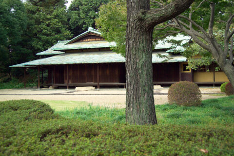 This photo shows a tea pavilion, Suwa no Chashitsu (諏訪の茶室) in the East Gardens of the Kokyo (Imperial Palace, formerly Edo Castle) in Tokyo, Japan. I took the photo and contribute my rights in the file to the public doma