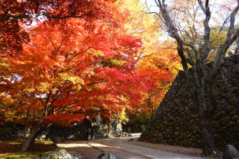 小諸城（懐古園）の紅葉