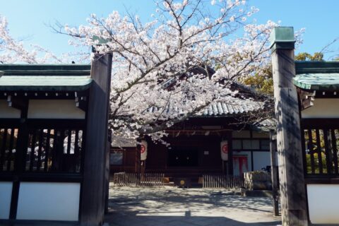 ​金比羅本教
