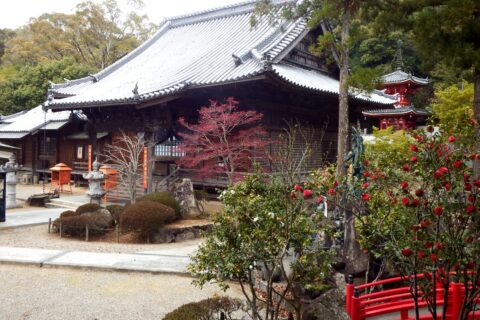 金泉寺 本堂