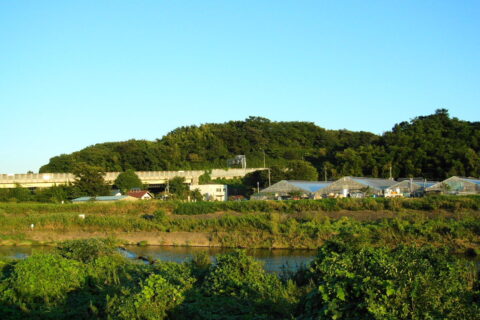 小机城址市民の森を鶴見川の対岸から撮す。