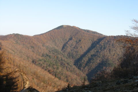雲取山を南南東から見る。七ツ石山の山頂から撮影。