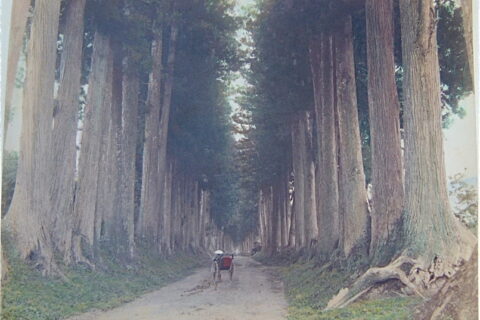 Hand colored albumen print by Kusakabe Kimbei