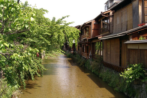 A riverside view in Gion, Kyoto, Japan. 京都・祇園白川沿いの景色