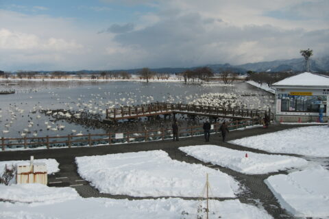 歩道橋から見た、瓢湖入り口付近の様子。