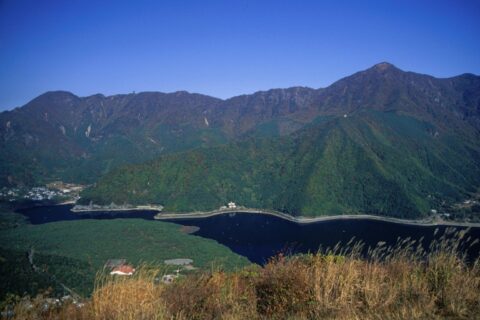 Saiko Lake and Aokigahara from Koyodai