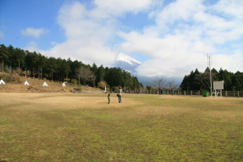 まかいの牧場の放牧場と富士山